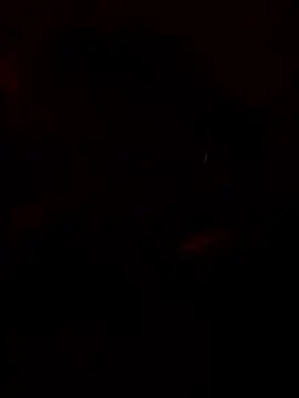 chefyahwan online show from April 13, 2026, 9:48 am