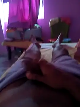 tappu0991 online show from April 3, 2026, 12:52 am