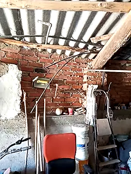 mecaloco online show from April 5, 2026, 11:29 am