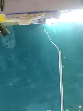 maicol6699 online show from April 15, 2026, 4:52 am