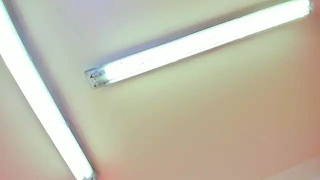 Snapshot of Draco_blaze chatting on May 8, 2026, 12:54 pm Draco blaze online show from May 8, 2026, 12:54 pm