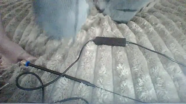 Snapshot of Lisanta chatting on July 12, 2026, 3:36 pm Lisanta online show from July 12, 2026, 3:36 pm