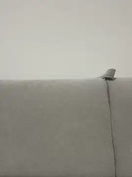 bunnnnyyyyyyyy online show from April 23, 2026, 5:48 pm