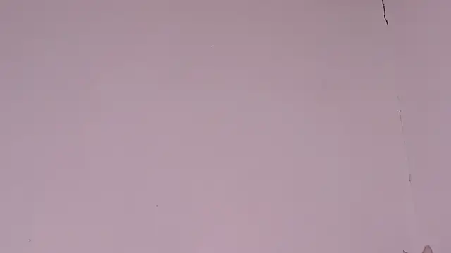 Snapshot of MayGibsson chatting on August 8, 2026, 12:29 pm MayGibsson online show from August 8, 2026, 12:29 pm