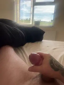 hardcock0987allthetime1 online show from May 31, 2026, 6:53 am