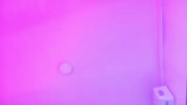LexaDominant   online show from July 16, 2026, 9:48 am