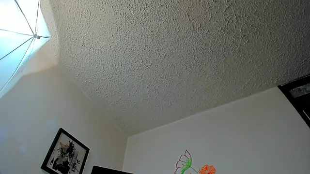 JuanManuelGate online show from May 16, 2026, 7:34 pm