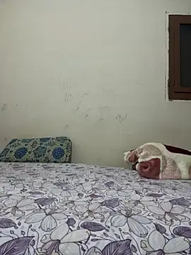Snapshot of kingtop222 chatting on June 8, 2026, 2:01 am kingtop222 online show from June 8, 2026, 2:01 am