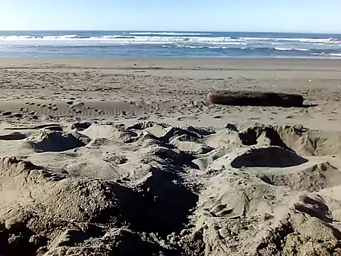 Snapshot of dog-naked chatting on January 22, 2025, 10:26 pm dog-naked online show from January 22, 2025, 10:26 pm