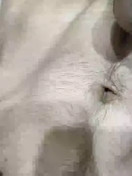 pussyedestroyer online show from May 31, 2026, 2:09 am