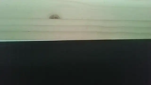 Snapshot of Hendrikje chatting on June 2, 2026, 4:42 pm Hendrikje online show from June 2, 2026, 4:42 pm