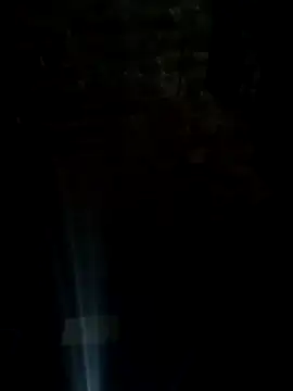 CardoSsmtz online show from July 5, 2026, 4:52 am