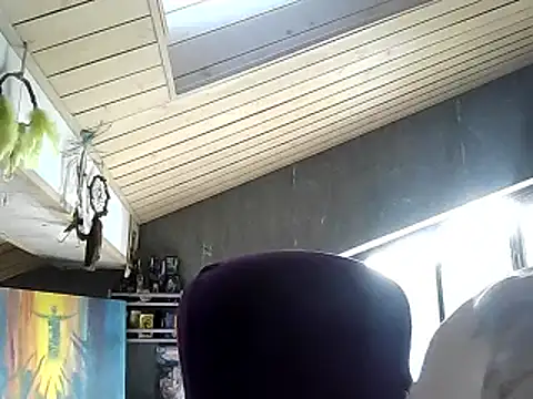 SpaceJet 0Novolyn online show from June 19, 2026, 2:32 pm