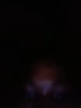 Snapshot of SalutedNonsense chatting on June 18, 2026, 11:36 am SalutedNonsense online show from June 18, 2026, 11:36 am