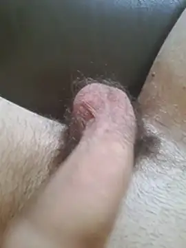 Snapshot of ShyDicksGuy chatting on July 21, 2026, 1:02 pm ShyDicksGuy online show from July 21, 2026, 1:02 pm