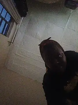 faaridaa online show from June 24, 2026, 3:55 pm