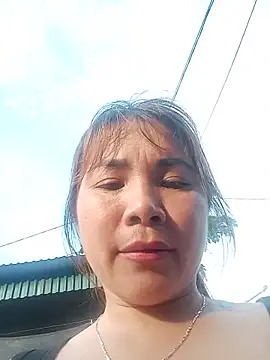 Snapshot of -Nibi- chatting on July 14, 2026, 10:21 am -Nibi- online show from July 14, 2026, 10:21 am