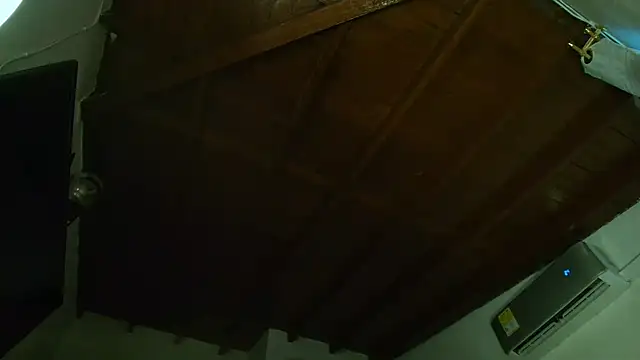 Snapshot of IvyValentine chatting on March 14, 2025, 9:54 pm IvyValentine online show from March 14, 2025, 9:54 pm