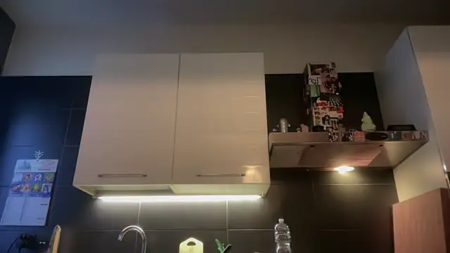 theitalianbear online show from January 7, 2026, 2:52 pm