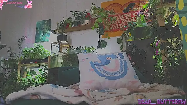 Dead Butterfly online show from March 5, 2025, 4:24 am