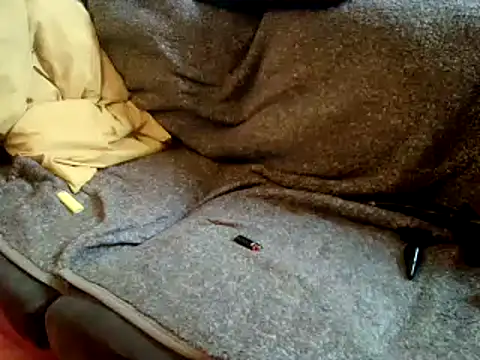 Truganini1 online show from December 22, 2024, 8:27 am