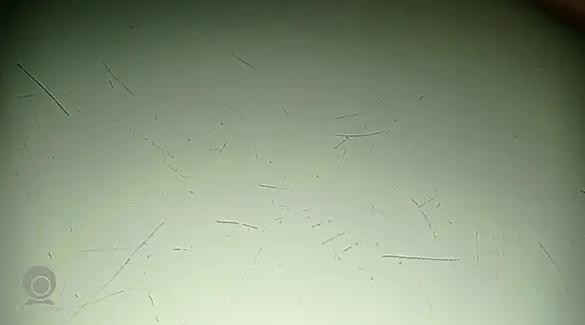 Just for trans online show from February 21, 2025, 3:10 pm