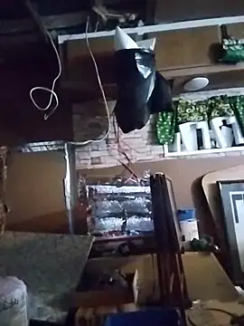 Biknight online show from March 29, 2026, 1:27 am