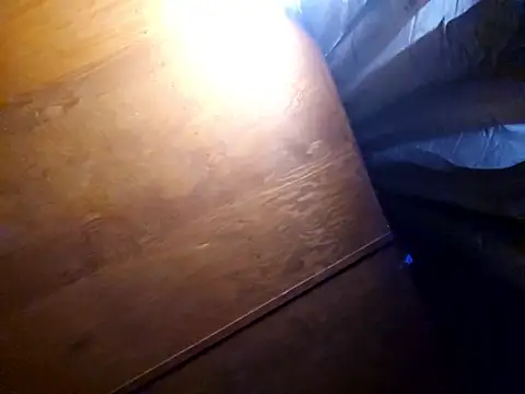 UncutHammer69 online show from February 17, 2026, 3:29 pm