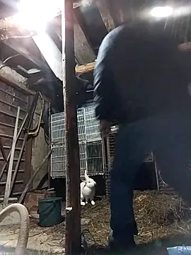 sarpe4 online show from February 19, 2026, 4:14 pm