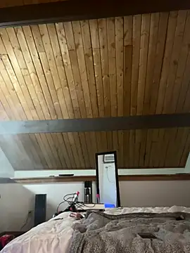 odbodu online show from November 23, 2025, 8:58 am