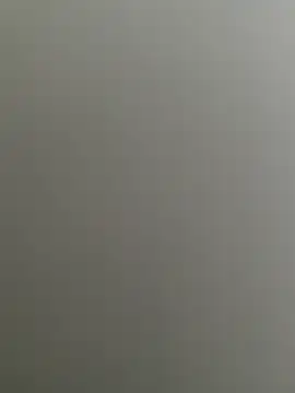 Snapshot of Bull8 chatting on February 26, 2025, 9:32 am Bull8 online show from February 26, 2025, 9:32 am