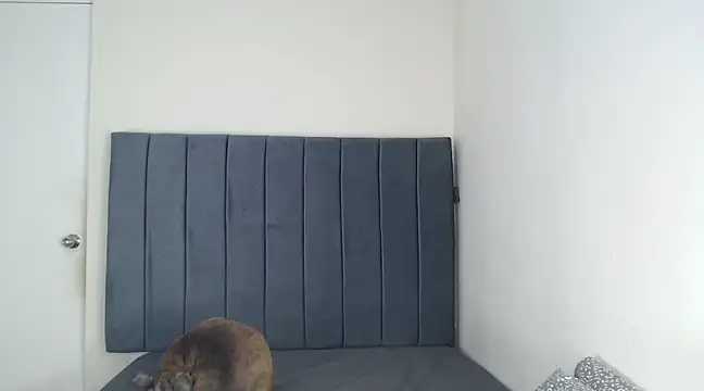 Snapshot of Chanelsexyy chatting on March 6, 2025, 11:53 pm Chanelsexyy online show from March 6, 2025, 11:53 pm