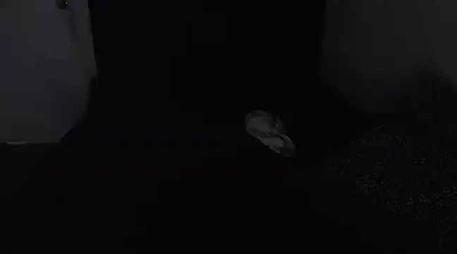 Snapshot of Chanelsexyy chatting on March 16, 2025, 8:43 pm Chanelsexyy online show from March 16, 2025, 8:43 pm