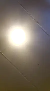 Snapshot of PinkTheHawk chatting on January 11, 2025, 10:07 pm PinkTheHawk online show from January 11, 2025, 10:07 pm