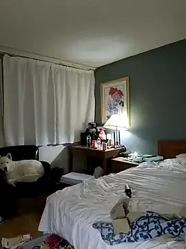 sativagata online show from January 16, 2025, 10:42 am