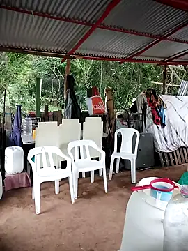 Brenda Berck  online show from February 24, 2026, 1:20 pm