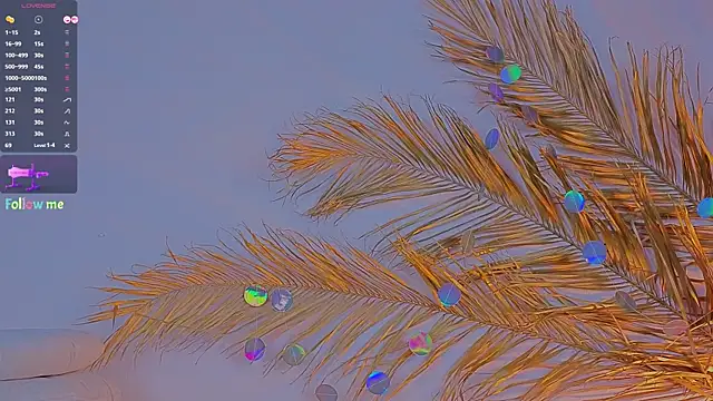 a11yson online show from February 5, 2025, 2:26 pm