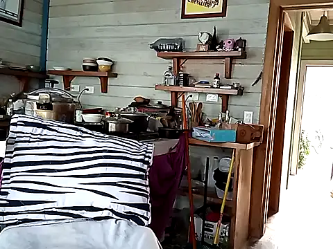 Luna-Natural online show from January 5, 2025, 8:31 pm