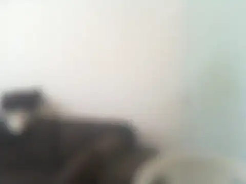 Snapshot of ConradinhoBR50 chatting on April 19, 2026, 2:27 pm ConradinhoBR50 online show from April 19, 2026, 2:27 pm