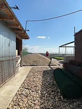 SabinaSweety online show from April 10, 2026, 12:43 pm