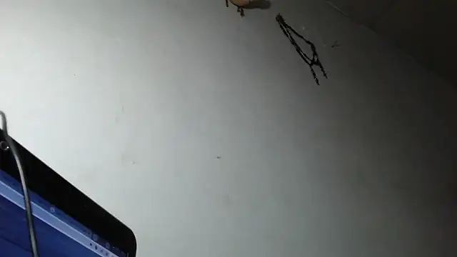 adrixxx38 online show from March 5, 2026, 12:17 am