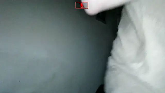 Ethangay online show from November 2, 2025, 6:27 am