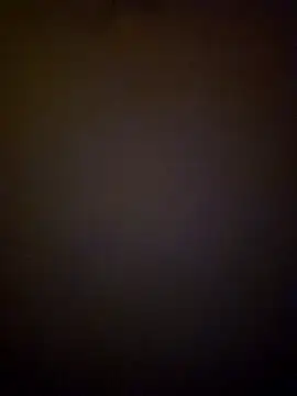 tropikboy online show from March 19, 2025, 9:49 am