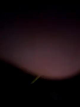 tropikboy online show from February 25, 2026, 12:53 am