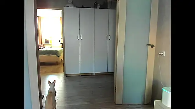 Snapshot of sweeetgirls2021 chatting on December 12, 2024, 2:04 am sweeetgirls2021 online show from December 12, 2024, 2:04 am