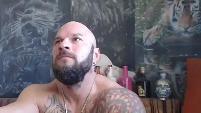 viking 30 online show from October 25, 2025, 7:05 am