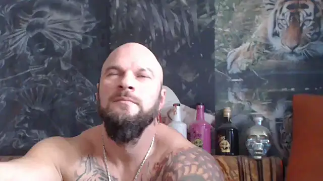 viking 30 online show from November 18, 2025, 7:46 am