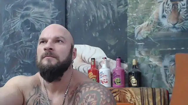 viking 30 online show from December 1, 2025, 1:49 pm