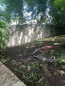 JohnnyBigShot online show from September 28, 2025, 3:50 pm