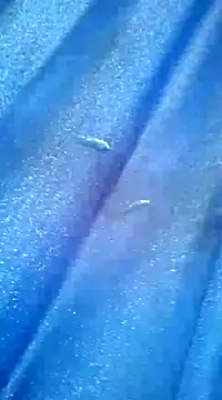 Luismiguel55 online show from March 8, 2025, 10:11 am